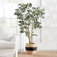 Wild Coffee Panax Tree Grandin Road In 2020 Bedroom Plants Indoor Trees Faux Plants