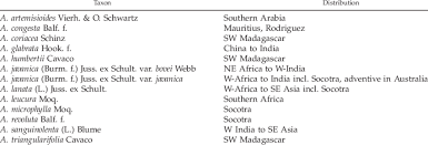 Image result for Aerva leucura