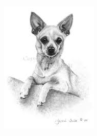 Apple Head Chihuahua Black And White 11 X 14 Deer Chihuahua Art Print By Jennie Truitt 20 00 Via Etsy Chihuahua Art Baby Animal Drawings Dog Art