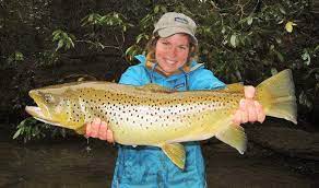 Whether you choose the soque river, lake rabun, or the chattahoochee river for your excursion, you'll find that our backcountry tailwaters flow cold in every season. Fly Fishing In North Georgia For Trophy Sized Trout