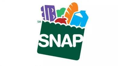 Logo Programa SNAP USA