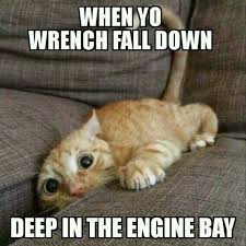 And You Have Short Arms Bahaha Funny Animal Jokes Funny Animal Memes Funny Animals