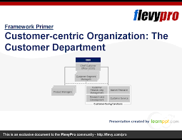 Customer Centric Organization The Customer Department Https Flevy Com Browse Flevypro Doc In 2020 Customer Journey Mapping Customer Relationships Change Management