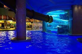 Slide Through The 200 000 Gallon Shark Tank Aquarium At The Golden Nugget Las Vegas Las Vegas Trip Las Vegas Pool Vegas Vacation