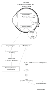 disturbance of inorganic phosphate metabolism in diabetes