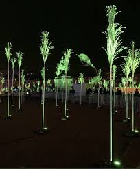 Fdl2019 J 1 Avant Le Lancement Officiel De La Fete Des Lumieres A Lyon Fete Des Lumieres Fete Des Lumieres Lyon Lumiere
