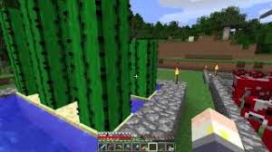 When you find a cactus block, all you need to do is break it; How To Get Cactus Green