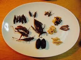 昆虫食】おいしい虫まずい虫ランキング - 木谷美咲 Kiya Misaki の世界