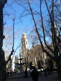 Despues De Una Semana De Tiempo Gris Hoy El Sol Salio Para Alegrar Otro Dia En Montevideo
