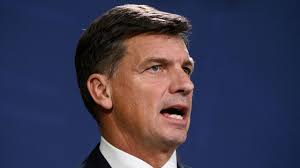 Australia news LIVE: Israel-Hezbollah ceasefire deal backed; NSW weather  sparks AEMO blackout warning; HECS indexation changes become law