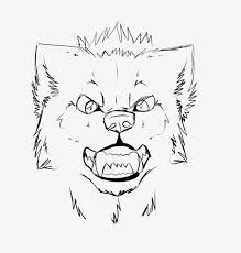 How to draw anime wolves. How To Draw An Wolf Head A Front View Snout Drawing Wolf Transparent Png 1084x1084 Free Download On Nicepng