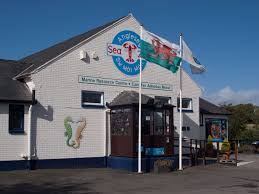 Anglesey Sea Zoo Family Days Out Wales Tourism Great Days Out