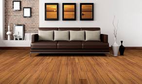 Bamboo Buying Checklist What To Ask Before You Buy Builddirectlearning Center
