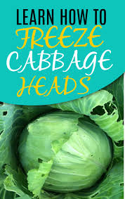 We did not find results for: Step By Step Guide Freeze Fresh Cabbage Heads Homesteading Where You Are Cabbage Frozen Fresh How To Store Cabbage