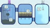 Image result for how water is treated in water treatment plant