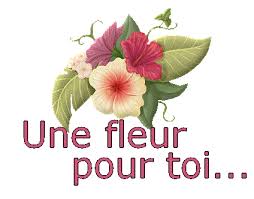 Résultat de recherche d'images pour "fleur pour ma copine"