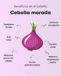 🧅 ¿Sabías que la cebolla morada puede mejorar visiblemente la salud de tu  cabello? Su uso no es solo tradicional: está respaldado por estudios  clínicos y propiedades farmacológicas reales. Aquí te contamos