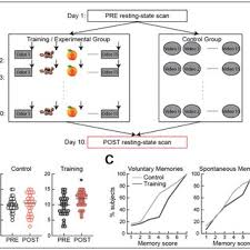 Number of Valid and Discarded Voluntary and Involuntary...