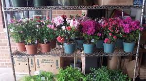 Join our wholesale discount program to receive a 20% discount code that you can use on all your orders over $50! Middle Atlantic Wholesale Florist 23 Reviews Florists 4406 Wheeler Ave Alexandria Va Phone Number Yelp