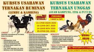 Kita akan bekerjasama dengan peladangnita. Akademi Usahawan Mj Fatonah Posts Facebook