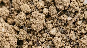 What Is Loamy Sand Soil? Complete Guide to Properties and Uses - Hello Gravel