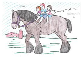 Well done to all of the entrants of the sunshine coast karate, january 2017 colouring competition. Breyer Coloring Pages Coloring Home