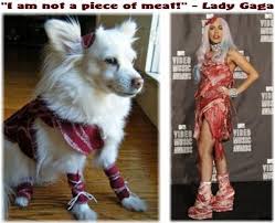 pin on lady gaga madonna 2 0
