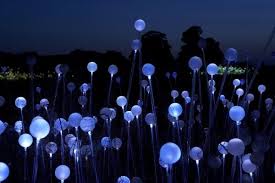 Image Result For Cheekwood Gardens Christmas Lights Lights Artist Light Installation Light Art