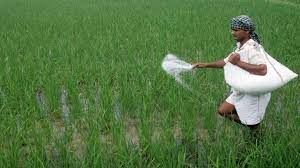 Purpose of heranba industries ipo. Heranba Industries Ipo Opens For Subscription Today Should You Subscribe