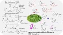 An overview on synthetic and biological activities of ...