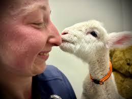 Always Remember. There is a memory that lives quietly…