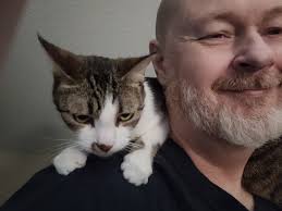 Cat crosses rainbow bridge after illness