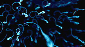 Bumps, warts, or sores around your mouth, anus, or genitals. Signs Of Stds In Men Symptoms And When They Appear