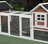 Omitree NEW 123" Large Solid Wood Chicken Coop Backyard Hen House 4-6  Chickens with 4 Nesting Boxes