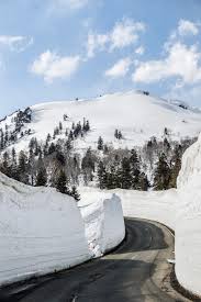 Image result for Hakkoda Walk