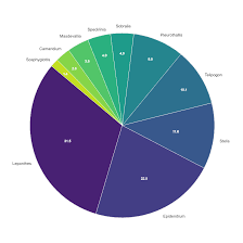 Image result for Microcharis remotiflora