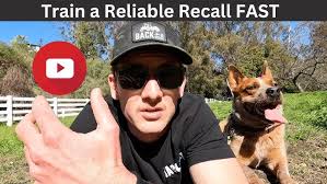 Dog Training Commands? Should Everyone In My Family Use the Same Words?