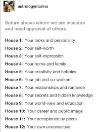 Saturn In The Houses Natal Saturn In Sagittarius 2nd House