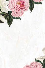Download Premium Illustration Of Vintage Pink Peony Flower Frame On White In 2021 Pink Peonies Flower Frame Premium Illustration