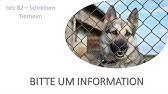 Check spelling or type a new query. Telc B2 Schreiben Bitte Um Information Youtube