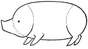 It inhabits depths of the forest. How To Draw Cartoon Hogs And Pigs In Simple To Follow Steps How To Draw Step By Step Drawing Tutorials