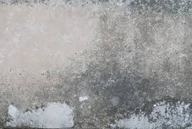 Mit diesen tipps und tricks vermeiden sie schimmel in. Mietminderung Von 20 Bei Feuchtigkeit Und Schimmel In Mehreren Raumen