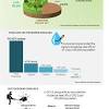 Salmonellosis is a disease caused by the. 1
