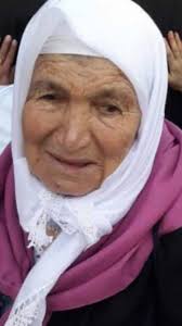 Yaşar Ali Akçam (@yakcam) • Instagram photos and videos