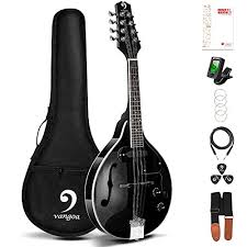 A and e from lowest to highest. Best Mandolins Buying Guide Gistgear