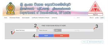 O/L And A/L Exam Results: How To Check Results Mobile And Website | Exam  Results, Exam, Exam Calendar