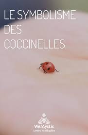 Le Symbolisme Des Coccinelles Wemystic France Animal Spirituel Spiritualite Spirituel