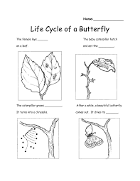 Pin On Educational Worksheets Template