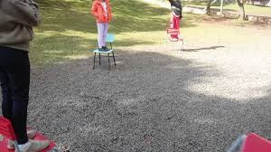 Este jogo é ideal para se jogar entre amigos, preferencialmente utilizando um app de chamada de voz em simultâneo (ex: Lancamento De Disco Na Escola Youtube