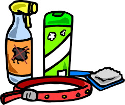 30 Ways To Naturally Prevent And Get Rid Of Fleas On Dogs Jet Pet Resort
